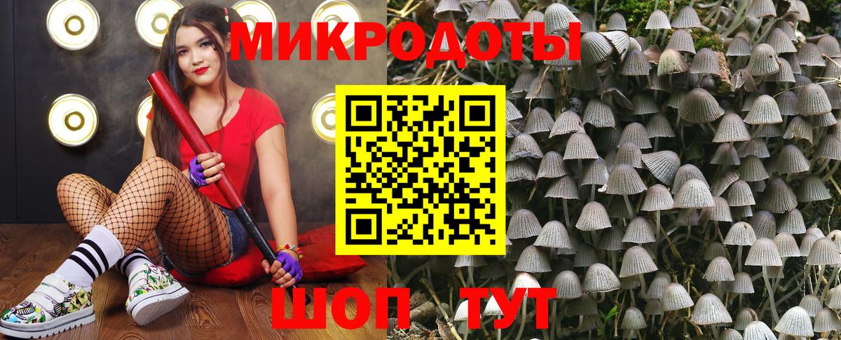 Псилоцибиновые грибы мухоморы Железногорск