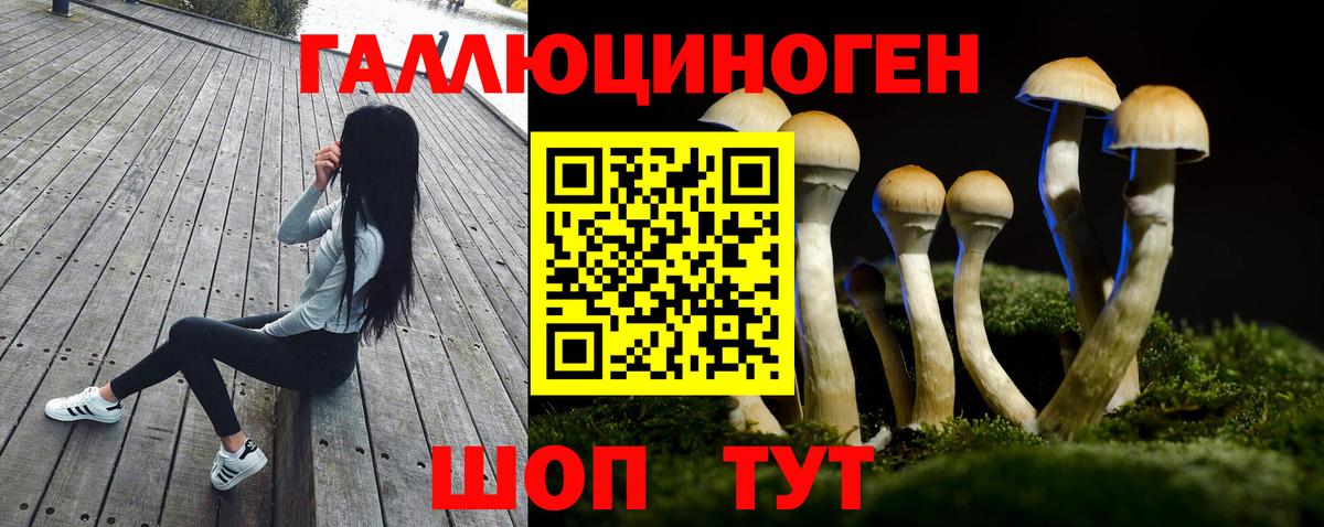 Железногорск  Псилоцибиновые грибы Psilocybine cubensis  Вход с VPN  Галлюциногенные грибы ЛСД 