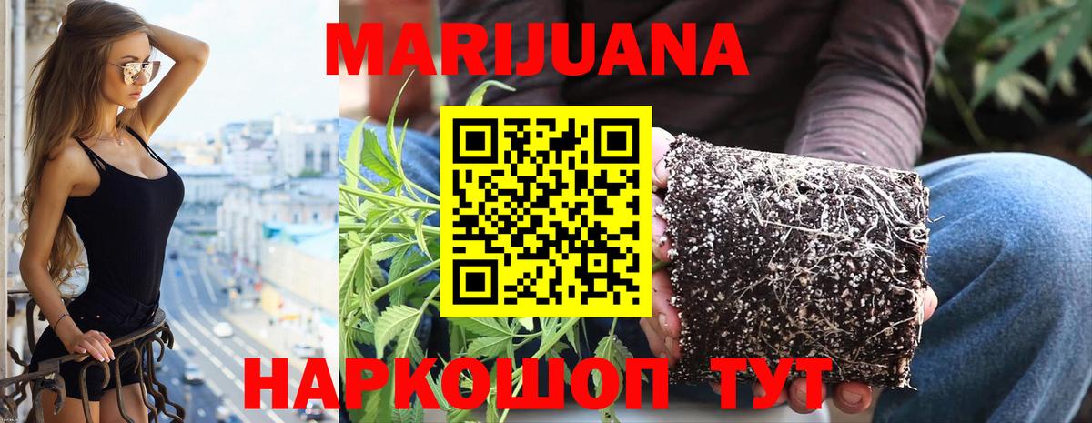 Шишки марихуана сатива Железногорск